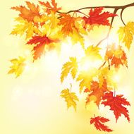 Autumn Tree - Illustration