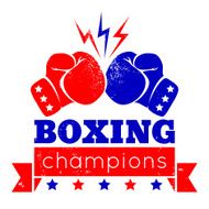 logo for a boxing N3