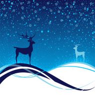 Deer in snow