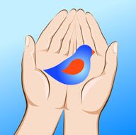 The bird in hand