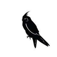 Bird Silhouettes N12