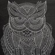 Decorative chalk board Owl head N2