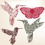 Collection of vector hummingbirds from ornament