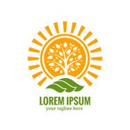 Sun tree logo template