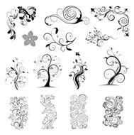Vector collection floral design elements
