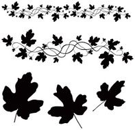 leaves - vector