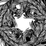 frame of feathers bird N2