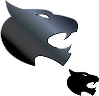 Wildcat Logo N8