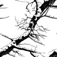 Tree N138