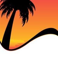 Palm Tree N67