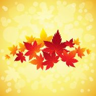 fall background N8