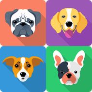 set dog icon flat design N2