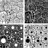spider web set