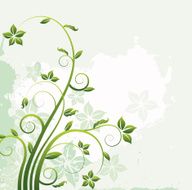 Floral Graphic N12