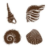 Ornate shells