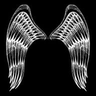 hand drawn wings