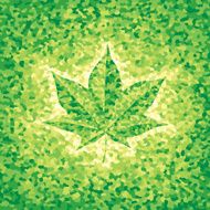 Maple Leaf N38
