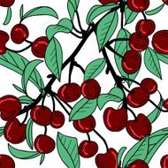 Cherries N31