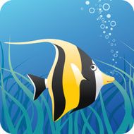 Tropical fish under water N2