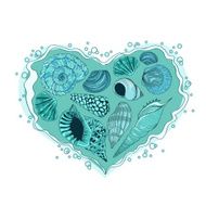 Illustration with heart of seashells N2