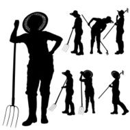 Vector silhouette of a gardener N116