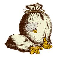 bags of coins N7