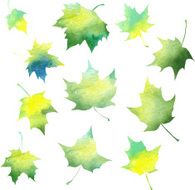 set of silhouettes by maple leaves in watercolor N3