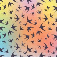 Swallow and rainbow hexagons