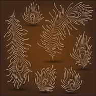 Peacock Feathers N10