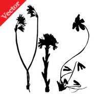 Set illustration with wild flowers silhouettes isolated on white N7