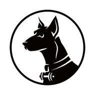 Dog N45
