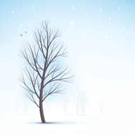 Winter Tree N31