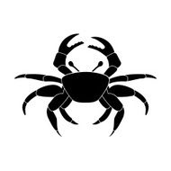 lobster N9