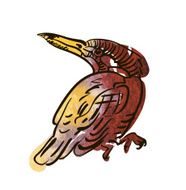Vector sketch of bird watercolor N13