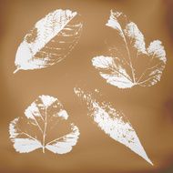 Grunge vector leaves