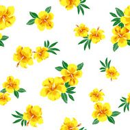 hibiscus repeats N49