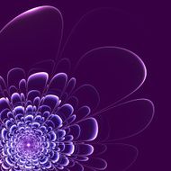 Beautiful flower on purple background