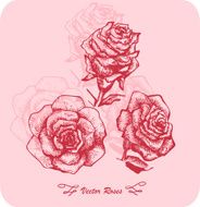 Flower sketch set N4