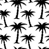 Seamless pattern with coconut palm trees in black and white N8