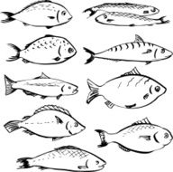 set of linear drawing fishes N2