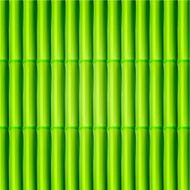 Vector bamboo background Eps10