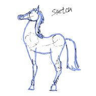 vector sketch horse
