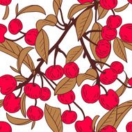 Cherries N33