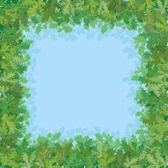 Sky and green leaves
