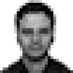 Avatar N15