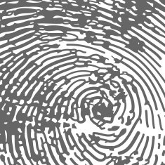 finger print N5