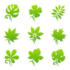 Leaves Elements for design