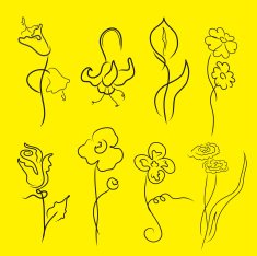 flowers Design Set N3