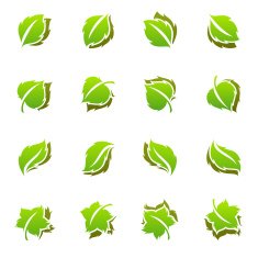 Leaves Elements for design N2