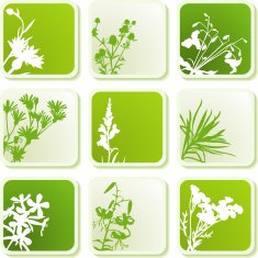 Spring icons N6